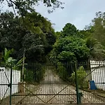 Casa Da Floresta