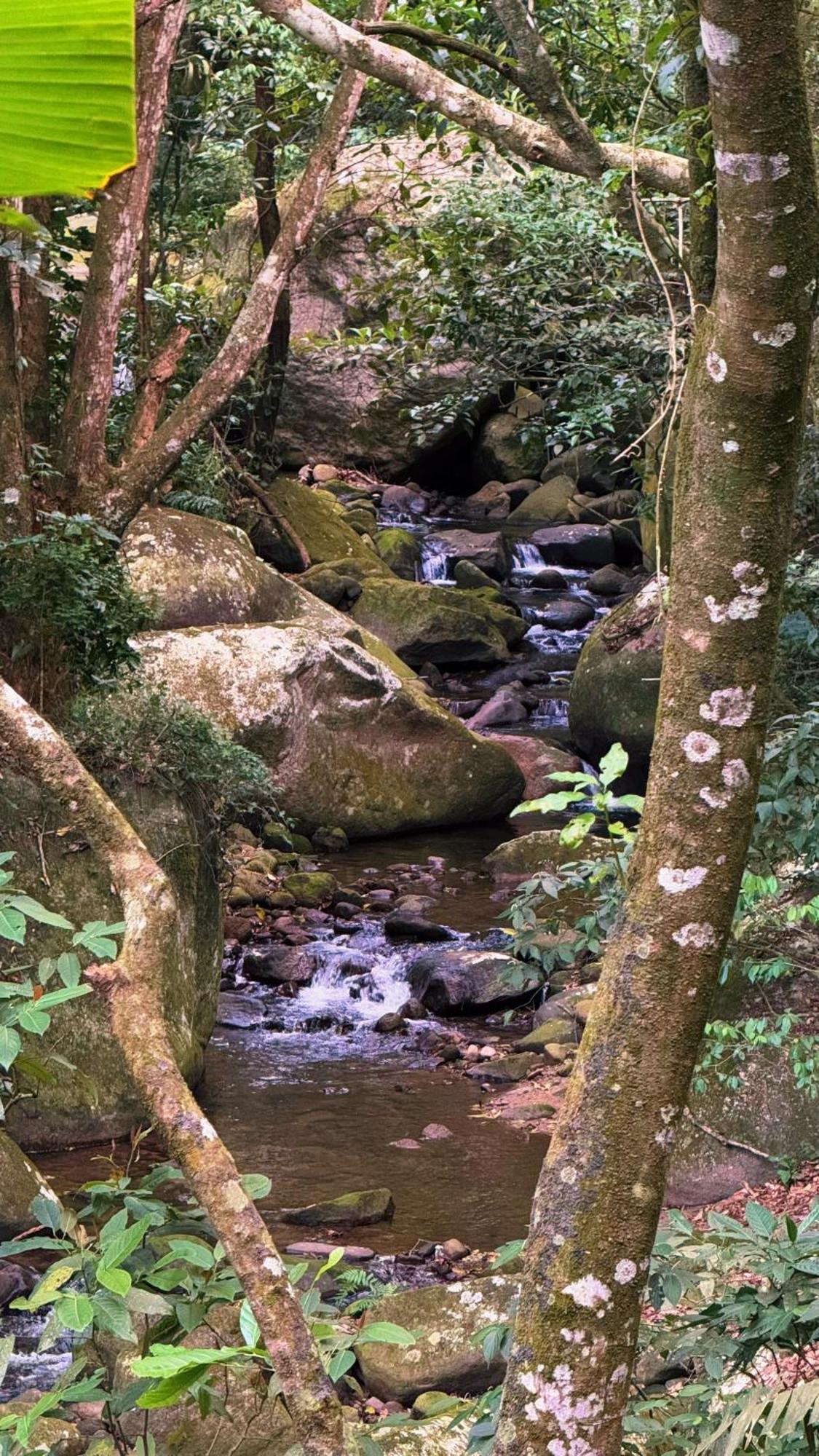 Сasa de vacaciones Casa Da Floresta