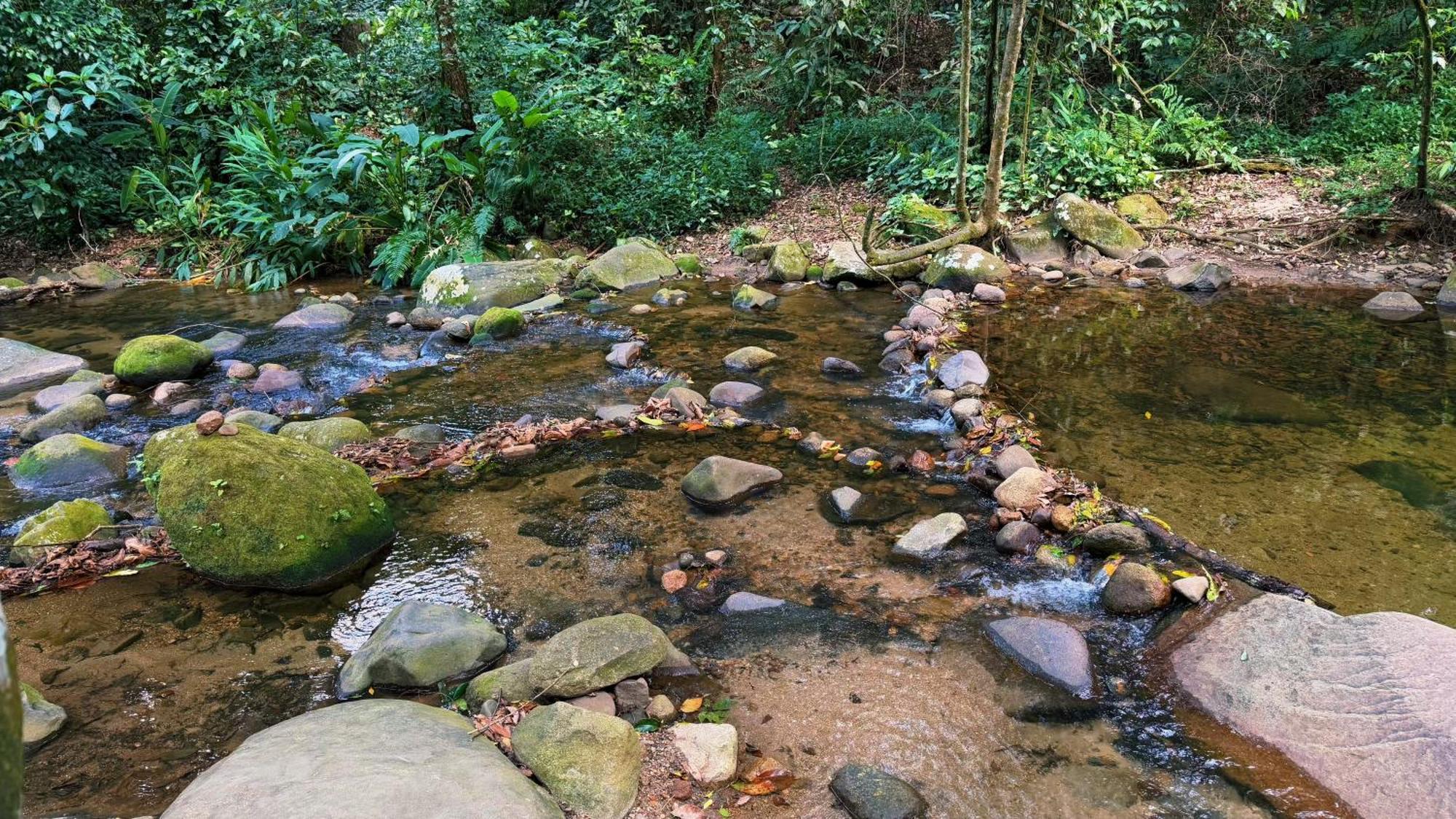 Сasa de vacaciones Casa Da Floresta