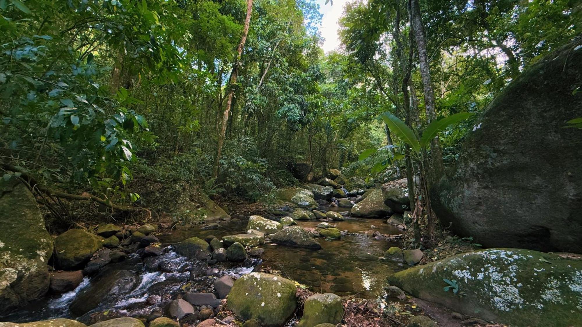 Сasa de vacaciones Casa Da Floresta *
